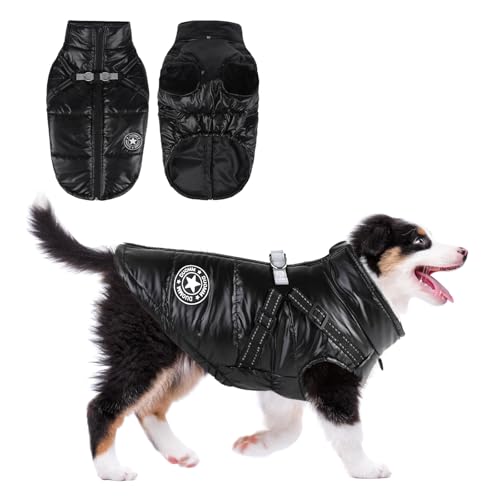 Koramaku  ȕR[g n[lXt wJ Ot ˑf   ~LO h  g  xXg ybg L   ~ ^ ^ EȒP h  WPbg UiSCubNj