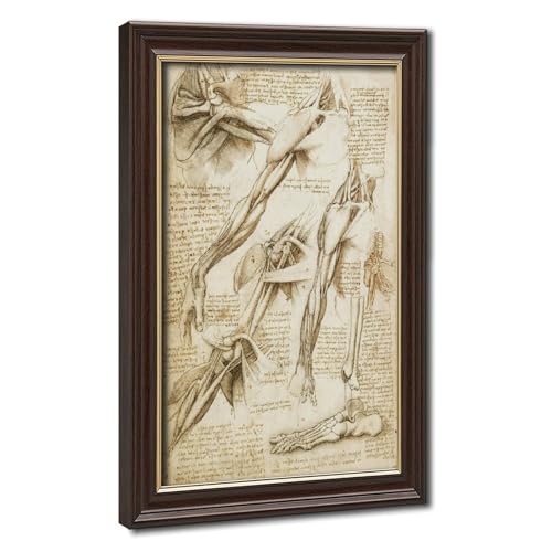 Toile Da Vinci corps humain pour briser la monotonie des murs de bureau
