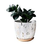 Dimensiones aproximadas: maceta: 21 x 19 cm (profundidad x alto). Bandeja: 17 x 2,4 cm (profundidad x alto). Nota: planta no incluida. **