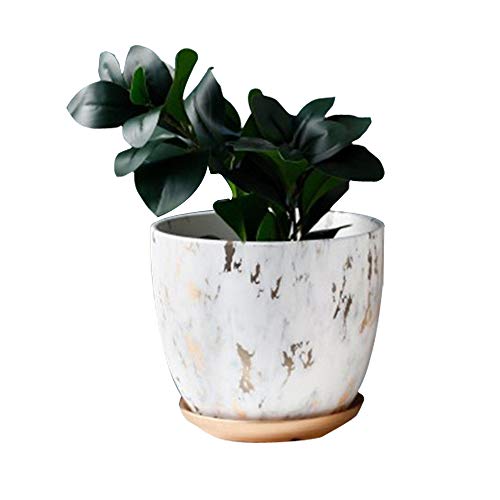 Pot de fleurs en marbre, moderne 20,8 cm, pot de gommage pour plantes, pots de plantes d'intérieur avec trou de drainage et plateau en céramique pour plantes vivantes, plantes succulentes,cactus Cover