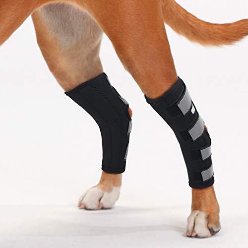 IN HAND Dog Rear Leg Hock Brace, Pair of Canine Dog Leg Joint Wraps Compression Brace Protects Wounds, Heals and Prevents Injuries and Sprains Helps with Loss of Stability Caused by Arthritis