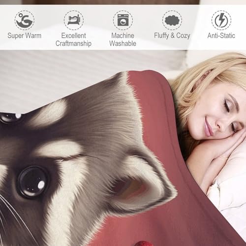 Couverture flanelle chaude contre le froid canapé et lit - 4