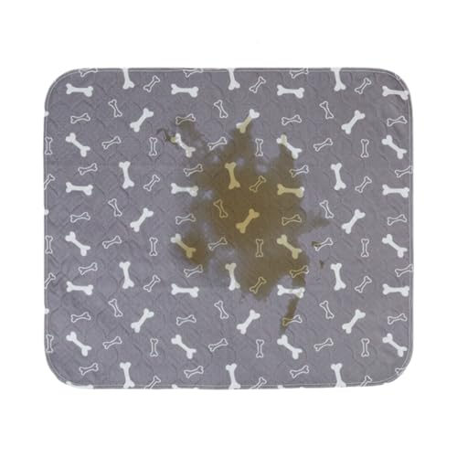 Almohadillas lavables – a prueba de fugas | Dog Cushion - Tapis D'Apprentissage Lavable | Empapadores Antideslizantes para Perros | Tappetini Igienici Lavabili | 2026 Pro | Coche | Viaje | Senior |
