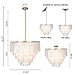 TOCHIC Capiz Shell Chandelier, 6-Light Chandeliers for Dining Room, Gold Coastal Chandelier with Natural Shells, Round Boho Light Fixtures for Bedroom, Living Room, Kitchen and Foyer, W-23.62