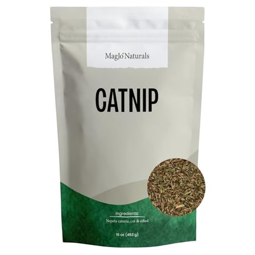 MagJo Naturals Farm Direct Catnip, Freshest Available, Bulk Bag (1 Pound)