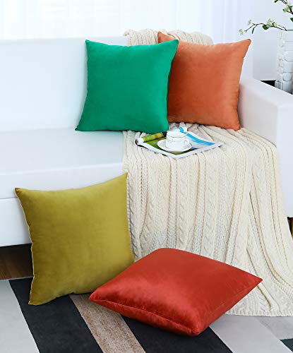 Jeneoo Set Of 2 Cozy Soft Velvet Rust Throw Pillow Covers For Sofa Couch, Decorative Solid Square Cushion Cases For Bedroom Car (16 X 16 Inches, Burnt Orange) #TOP4