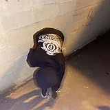  Class Diss [Explicit]