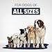 Sandhu's Pets Advanced Hip & Joint Supplement for Dogs, Glucosamine Chondroitin & MSM, Mobility Support Soft Chewable Tablets for All Breeds & Sizes, 120 Count