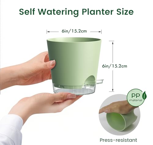 Meowell 6 inch Self Watering Pots for Indoor Outdoor Plants, 3 Pack Flower Plant Pots with Drainage Holes and Clear Reservoirs, Visible Water Level, Plastic Planters with Wicking Rope, Green by Meowell - Image 2