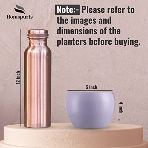 Image of Rust Free Tabletop Decorative Metal Planter Flower Pot Plant Pot for Indoor Plants, Flowers,Home Decor, Office, Restaurant (Purple)