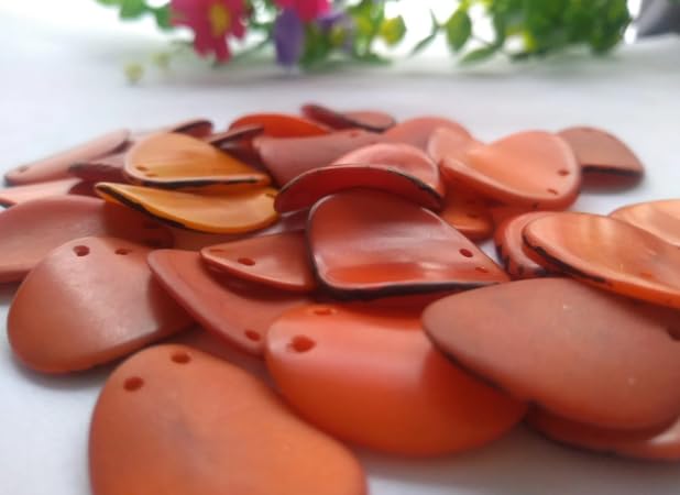 20 Orange Slices Curved Nail Shape from Colombia Rainforest Top drilled Two Holes Size: 2-2.5 x 2-2.5 cm R-1054