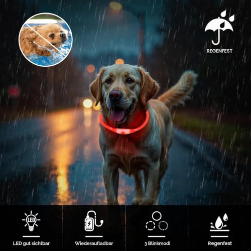 CoCoDonut LED Leuchthalsband Hund, USB aufladbar, Sicherheit bei Nacht – Ansicht 5
