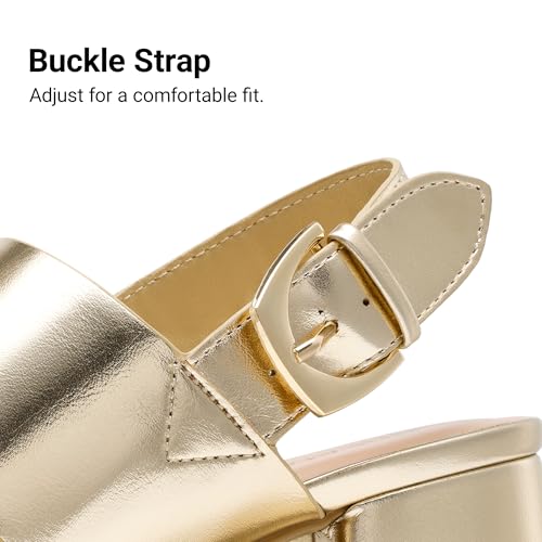 Image of DREAM PAIRS Women's Comfort Chunky Heel Sandals - Platform Block Heels with Adjustable Buckle, Stylish & Comfortable for Daily Wear, Work, & Party Events