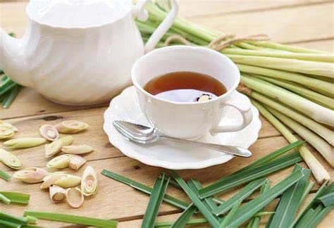 Lemon Grass - 100% Natural - 1lb (16oz) - EarthWise Aromatics - Thumbnail 2