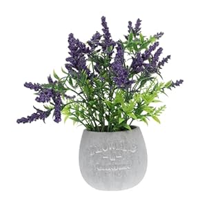 Amosfun 1pc Artificial Potted Plant Fake Bonsai Plant Pots Indoor Lavender Emulation Bonsai Faux Flowers in Pot House Plant Pots Mini Plants Boat Clock Delicate Plastic Pot Load
