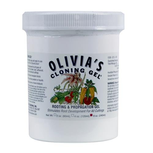 Olivias Cloning Gel 8oz