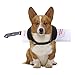 Dog Costume Halloween,Dog Cat Unique Shape Costumes, Adjustable Funny Pet Costume for Dogs and Cats Kitchen Knife L Bust 23.6