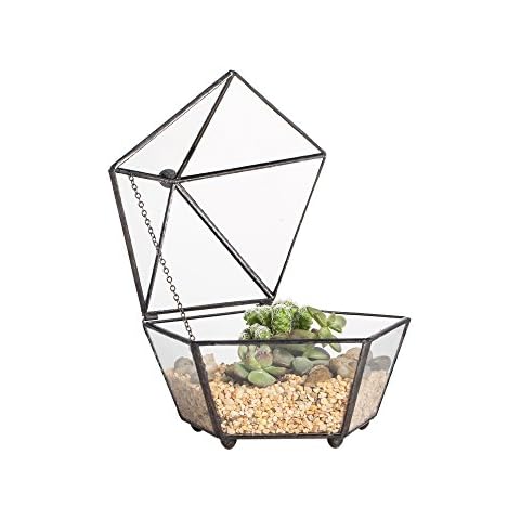 Small Glass Geometric Terrarium Plant Box Cover