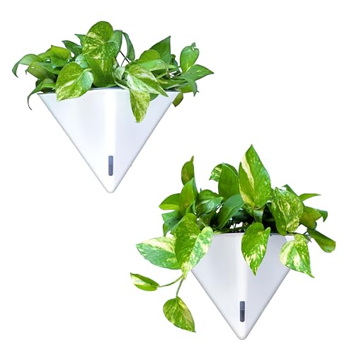 LaLaGreen - Macetas de pared para plantas de interior, paquete de 2, 12 pulgadas, grande, con autorriego, geométrico, blanco, jarrón colgante con colgador de metal, moderno y elegante soporte para