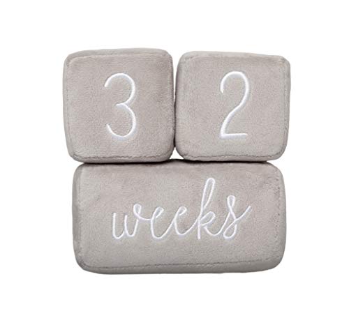 Image of Pearhead Baby Plush Photo Sharing Milestone Age Blocks, Picture Prop, Set of 3 Blocks, Gray