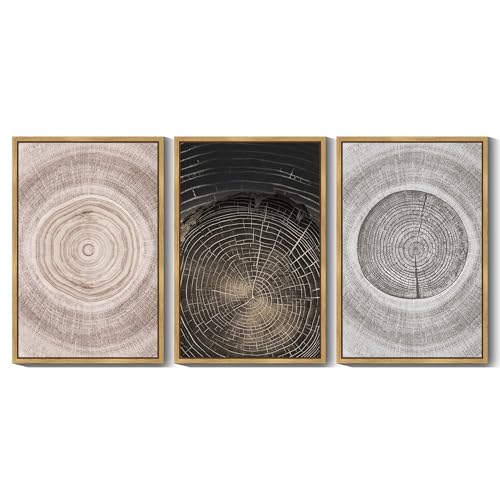 PHOPAGO Vintage Wood Tree Rings Wall Art 24x36in Farmhouse Rustic Framed Canvas Paintings Living Room Bedroom Decor Nature Artwork Natural Framed by PHOPAGO - Used condition - Image 2
