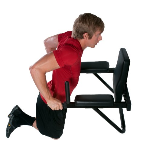 Ultimate Body Press Wall Mount Dip Station with Vertical Knee Raise