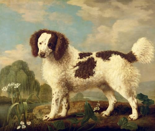 Image sur toile George Stubbs grand tableau épagneul Norfolk déco salon