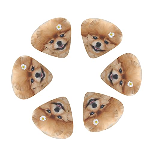 Médiators en celluloïd coloré avec motif chien avec fleur – 3 épaisseurs différentes – Pour basse, amateurs de musique – Pour guitare électrique et acoustique – Comprend 0,46 mm, 0,71 mm, 0,96 mm - Les Beatles, Paul McCartney, John Lennon, RIngo Starr, George Harrison Médiators en celluloïd coloré avec motif chien avec fleur - 3 épaisseurs différentes - Pour basse, amateurs de musique - Pour guitare électrique et acoustique - Comprend 0,46 mm, 0,71 mm, 0,96 mm – Image 3