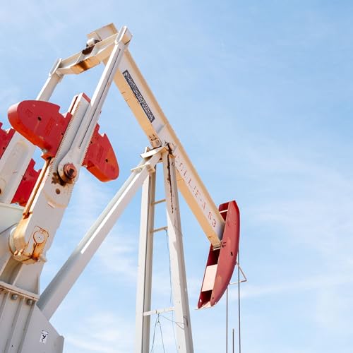 So many different flavors of oil