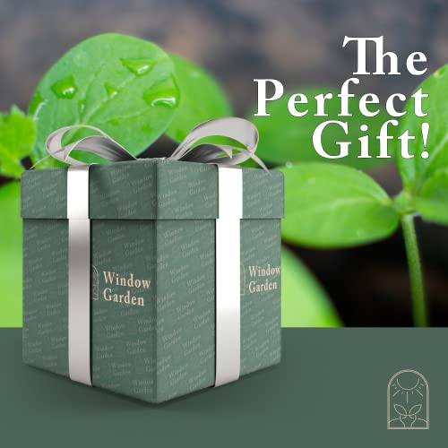 Mini Greenhouse Seed Starter Kit – 3-Pack Windowsill Greenhouse Kits (30 Cells Seed Starting Kit) Bundle With Mammoth Sunflower Grow Kit - Giant Sunflower Planting Seeds 10 Fiber Soil Seed Starters #TOP7