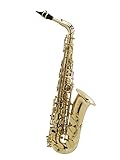 sofort lieferbar SeleS Axos Eb Alt Saxophon Vorführinstrument