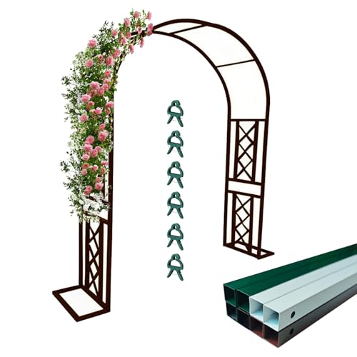 Arche en métal pour plantes grimpantes au design épuré de tonnelle