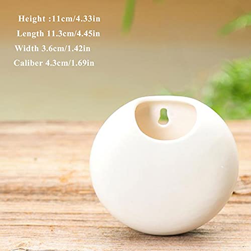 Hanging Planters Wall Mounted Ceramic Flower Planter Round Hanging Plant Holder Hanging Succlent Planter Vertical Garden Pots For Indoor Hanging Flower Pot #TOP1