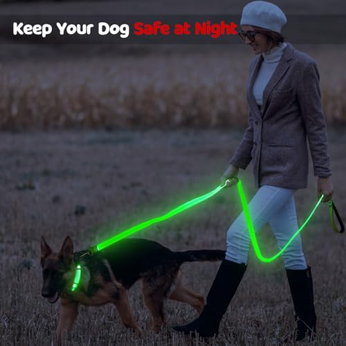 Laisse lumineuse pour chien en nylon vert de qualité supérieure et durable