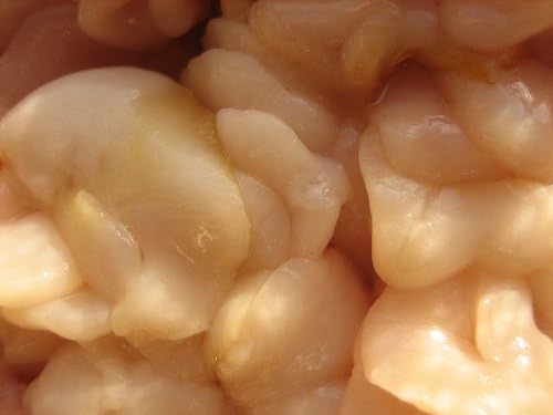 Amazon 生食用 真鱈の白子1kg 珍品珍味 Ask Sanin 山陰境港 塩辛 珍味 通販