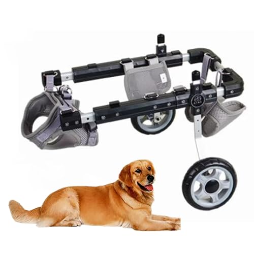 Chariot pour chien aux pattes arrières faibles pour balades