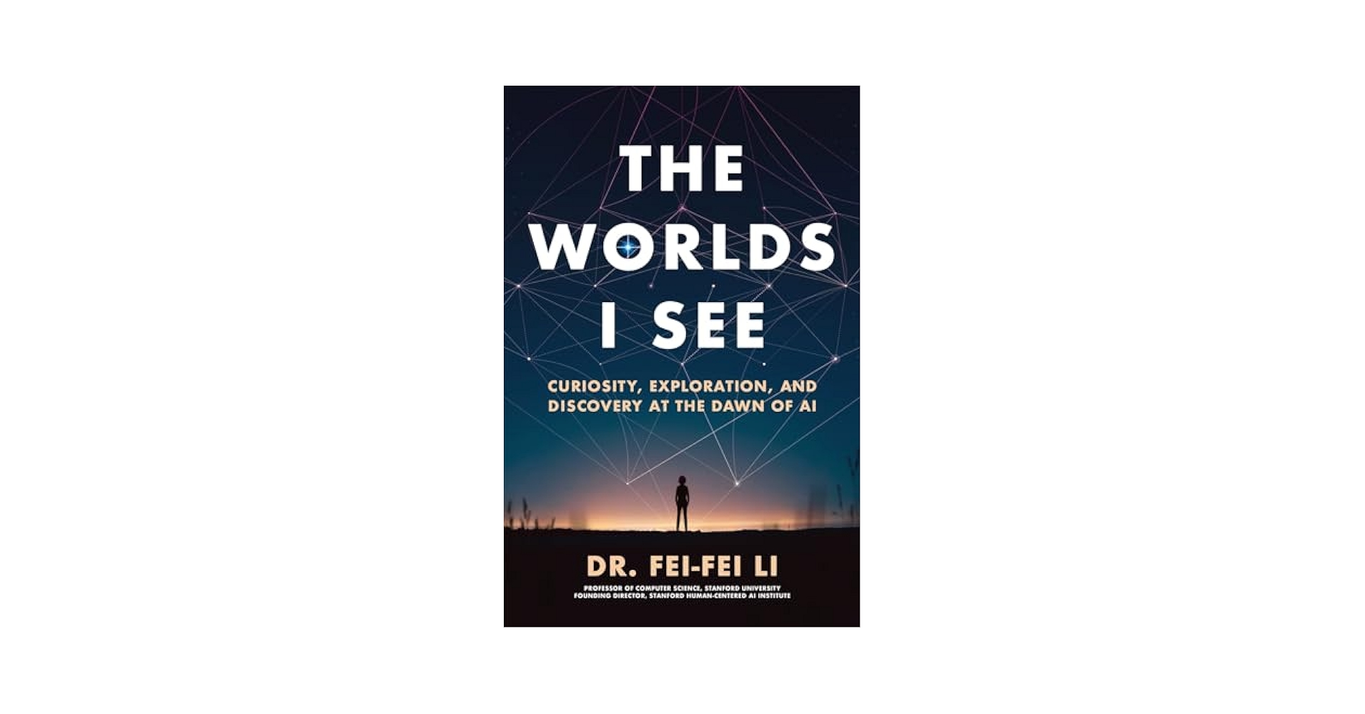 Worlds I See: Fei-Fei Li: 9781250389893: Amazon.com: Books