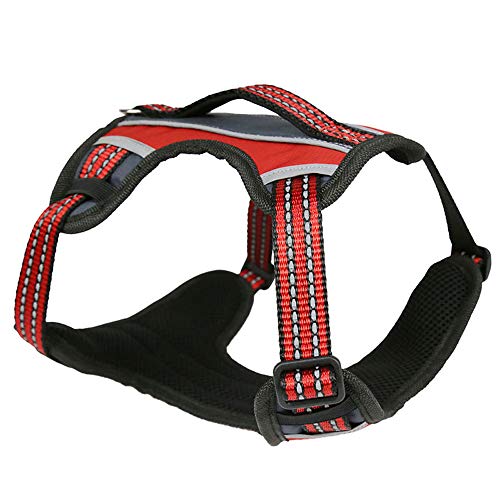 MNC Pet 2X-Sport Arnés, Grande, Rojo