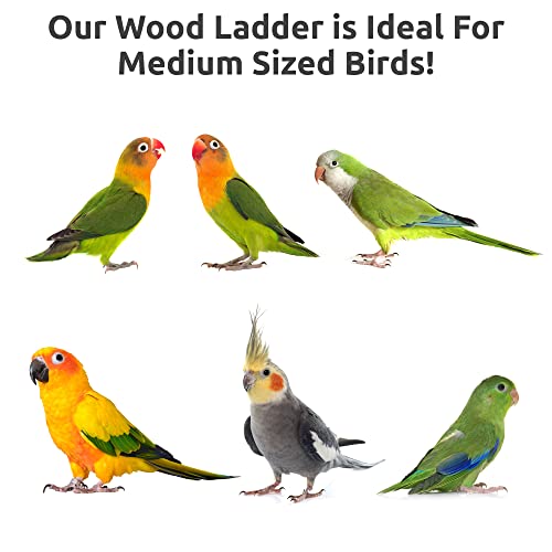 Simena SMN-BIRDLADDER Bird Cage Ladder, Parrot Bridge Made Of Natural Wood And Rope thumb #4