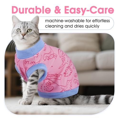 Gilet chat ultra doux imprimé dinosaure toutes saisons vert