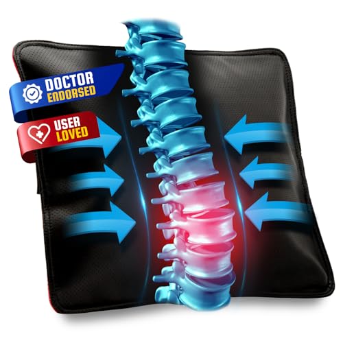 AJUVIA Back Vitalizer Lumbar Support Pillow for Office Chair & Car - image 1