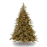 National Tree Company Pre-Lit 'Feel Real' Artificial Full Christmas Tree, Green, Frasier Grande, Dual Color LED Lights, Includes Stand, 6 Feet