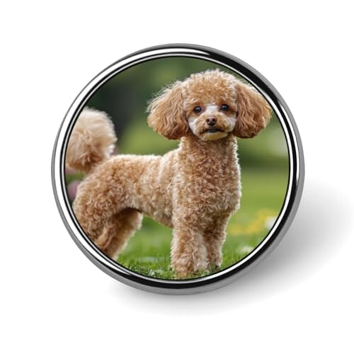 sobW v[h  u[` ys ~^ tH[}  ANZT[ Ǝ   w a LO ȒPt lC  킢 v[g 蕨 Mtg