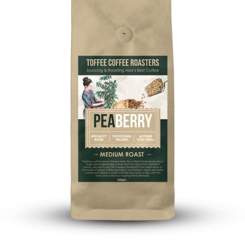 Toffee Coffee Roasters | Peaberry Coffee | Single Origin Coffee | 100% Arabica | Medium Roast | Coffee Notes: Sweet with Delicious Aftertaste | Grind: Home Espresso Machine| Freshly Roasted | 500 gms