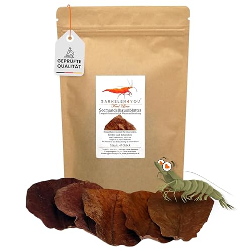 GARNELEN4YOU Seemandelbaumblätter | Catappa | Premium Langzeitfuttermittel & Wasseraufbereitung | klimaneutrale Verpackung | Garnelen Krebse Schnecken (10-12 cm 40 stück)