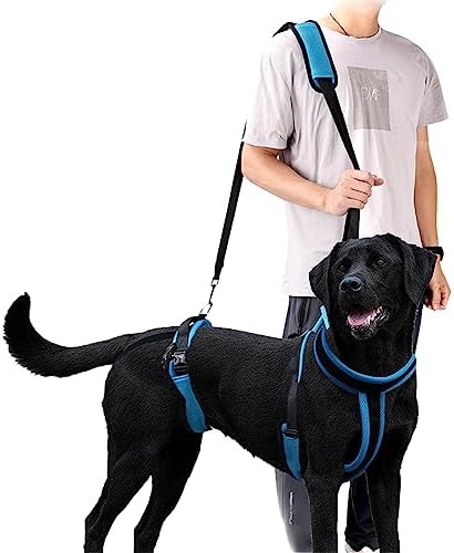 Imbracatura Sollevamento Cani Regolabile - Supporto Camminata Per Cani Anziani, Disabili O Con Problemi Articolari - Foto 7