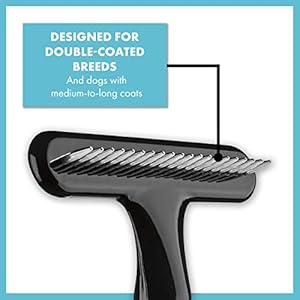 Conairpro Dog  Cat Dog Brush for Shedding Ideal for All Pets and Breeds 34 Rake to Help Reduce Heavy Undercoat Wetdry Brush Yellow  Cucciolini Doodles Conairpro dog  cat dog brush for shedding ideal for all pets and breeds 34 rake to help reduce heavy undercoat wetdry brush yellow   cucciolini doodles