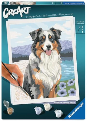 Ravensburger - CreArt Série Adultos Trend C - Pastor australiano Blue Merle | Pintura por Nfinocam | Kit de pintura, medidas de 30 x 24 | jogos para crianças de 12 anos, ideias para presente, presente