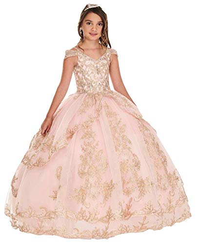 TSxuelian Flower Girl's Spaghetti Strap Pageant Party Dresses Lace Applique Ball Gowns for Kids Tulle