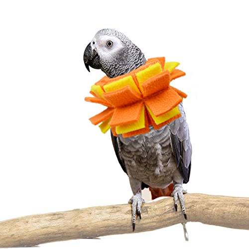 Neck Collar for African Grey Parrots Feather Plucking Bird Anti Bite Collar Neck Shield